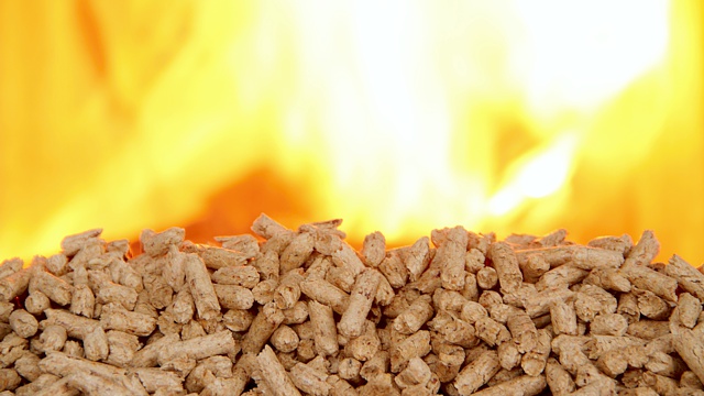 Energie aus Esslingen: Pellets und Holzpellets sind ein wichtiger Schritt in Richtung Klimaschutz